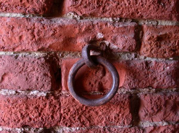 Con e senza flash...